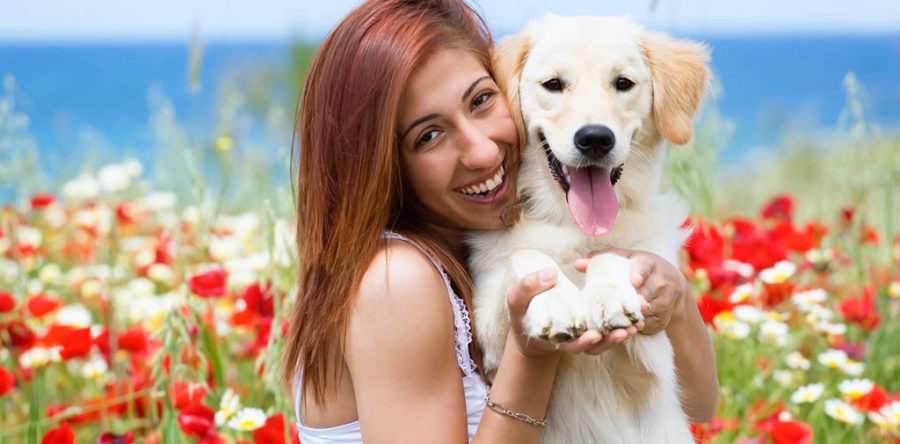 Waarom je deze week de pootjes van je hond moet insmeren met vaseline