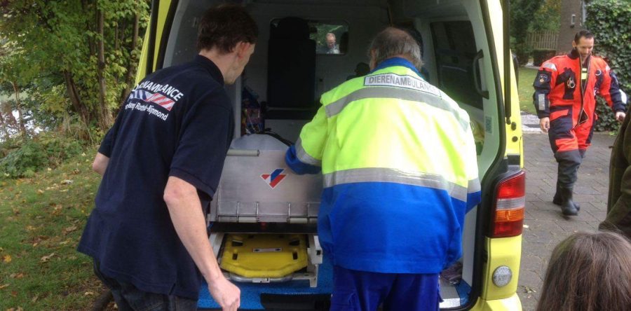 Doneren aan de dierenambulance……